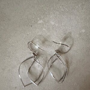 Elegant Silver Earrings
